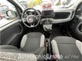 FIAT PANDA 3° serie 1.0 FireFly S&S Hybrid City Life