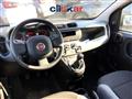 FIAT PANDA 1.0 FireFly Hybrid OK NEOPATENTATI