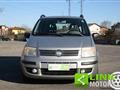 FIAT PANDA VAN 1.2 BENZINA -NEOPATENTATI