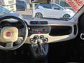 FIAT PANDA 1.3 MJT S&S 4x4