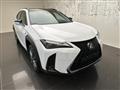 LEXUS UX Hybrid 4WD Design