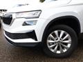 SKODA KAROQ 2.0 TDI EVO SCR 115 CV Selection N1 Autocarro