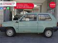 FIAT PANDA 900 i.e. cat Young