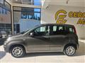 FIAT PANDA 1.0 FireFly S&S Hybrid da ?119,00 mensili