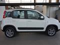 FIAT PANDA 1.3 MJT S&S 4x4