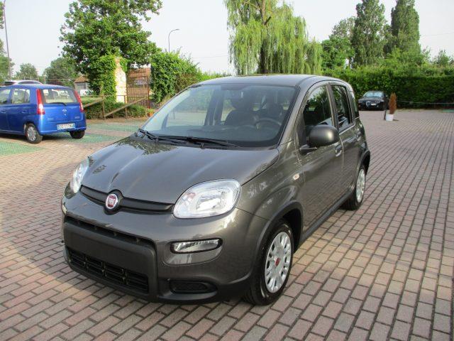 FIAT PANDA 1.0 FireFly S&S Hybrid - BLUETOOTH/Sensori