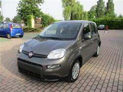 FIAT PANDA 1.0 FireFly S&S Hybrid - BLUETOOTH/Sensori