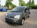 FIAT PANDA 1.0 FireFly S&S Hybrid - BLUETOOTH/Sensori