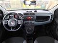 FIAT PANDA 1.3 MJT 95 CV S&S 4x4