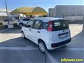 FIAT PANDA 1.0 FireFly S&S Hybrid OK NEOPATENTATI