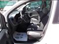 FIAT PANDA 1.0 firefly hybrid 70cv 5 posti