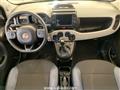 FIAT PANDA CROSS Panda Cross 1.0 FireFly S&S Hybrid