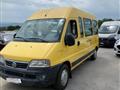 FIAT DUCATO SCUOLABUS Ducato Maxi 2.8 JTD PLM-DC Cabinato