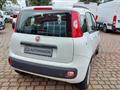 FIAT PANDA 1.2 Easy  40.000  Km  Az. Italia Euro 6b