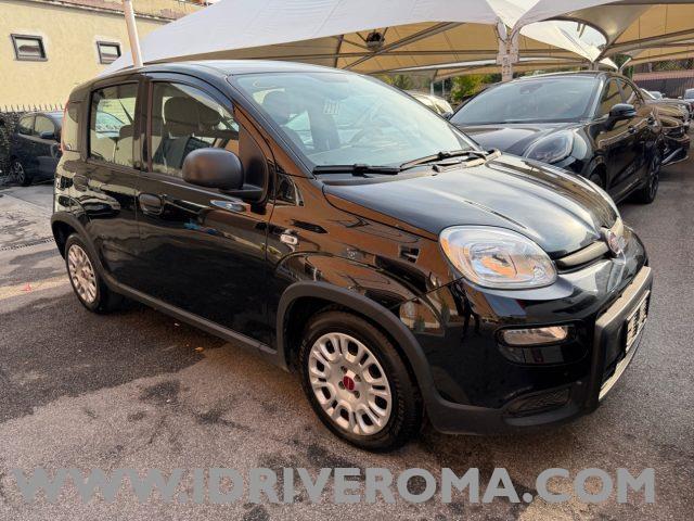 FIAT PANDA 1.0 FireFly S&S Hybrid+GPL