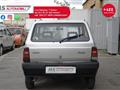 FIAT PANDA 1100 i.e. cat Young