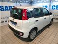 FIAT PANDA 1.0 firefly hybrid 70cv 5 posti