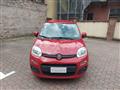 FIAT PANDA VAN 1.3 Multijet 75 CV NEOPATENTATI