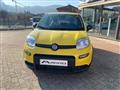 FIAT PANDA 1.0 *ADAS Hybrid *Pandina