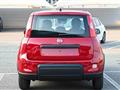 FIAT PANDA 1.0 FireFly S&S Hybrid Pandina