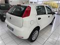 FIAT PUNTO 1.4 8V 5 porte Natural Power Street