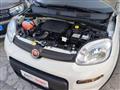 FIAT Panda FIAT Panda 1.0 firefly hybrid s&s 70cv