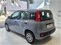 FIAT PANDA 1.0 FireFly S&S Hybrid da ?119,00 mensili