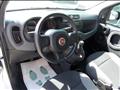 FIAT PANDA 1.0 firefly hybrid 70cv 5 posti