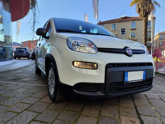 FIAT PANDA 1.0 70CV FireFly S&S Hybrid #VARI COLORI