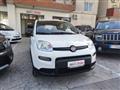 FIAT Panda FIAT Panda 1.0 firefly hybrid s&s 70cv