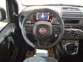 FIAT PANDA 1.0 FireFly S&S Hybrid Pandina