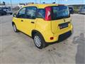 FIAT Panda 1.0 firefly hybrid s&s 70cv