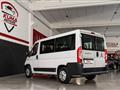 FIAT DUCATO FIAT DUCATO 2.3 MJT 150cv 9 posti Km 31.000