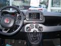 FIAT PANDA 1.0 Hybrid CityLife PREZZO VERO con mont.GPL