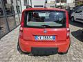 FIAT PANDA 1.2 Climbing 4x4 OK NEO PATENTATO