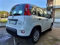 FIAT PANDA 1.0 70CV FireFly S&S Hybrid #VARI COLORI