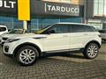 LAND ROVER RANGE ROVER EVOQUE Range Rover Evoque 2.0 eD4 5p. SE