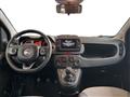 FIAT PANDA III 2021 1.0 firefly hybrid Cross s&s 70cv