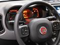 FIAT PANDA CROSS Panda Cross 1.0 FireFly S&S Hybrid