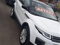 LAND ROVER RANGE ROVER EVOQUE Range Rover Evoque 2.0 eD4 5p. Pure