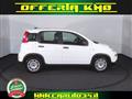 FIAT Panda 1.0 firefly hybrid s&s 70cv