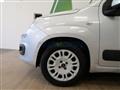 FIAT PANDA 1.2 69 CV NEOPATENTATI