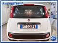 FIAT PANDA VAN N1 1.2 Easy Van 4 posti Autocarro