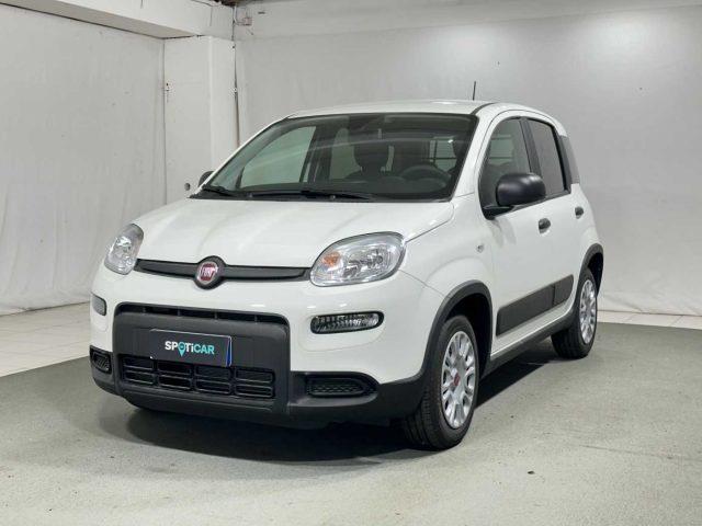 FIAT PANDA VAN 1.0 S&S Hybrid Van 4 posti