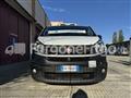 FIAT TALENTO Fiat Talento Coibentato Isotermico Frigorifero