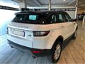 LAND ROVER RANGE ROVER EVOQUE Range Rover Evoque 2.0 TD4 150 CV 5p. Pure