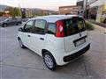 FIAT PANDA III 2016 1.2 Easy s&s 69cv my19