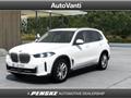 BMW X5 xDrive30d 48V