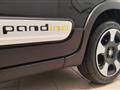 FIAT PANDA 1.0 FireFly S&S Hybrid Pandina