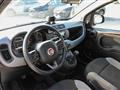 FIAT PANDA 1.0 FireFly S&S Hybrid City Cross